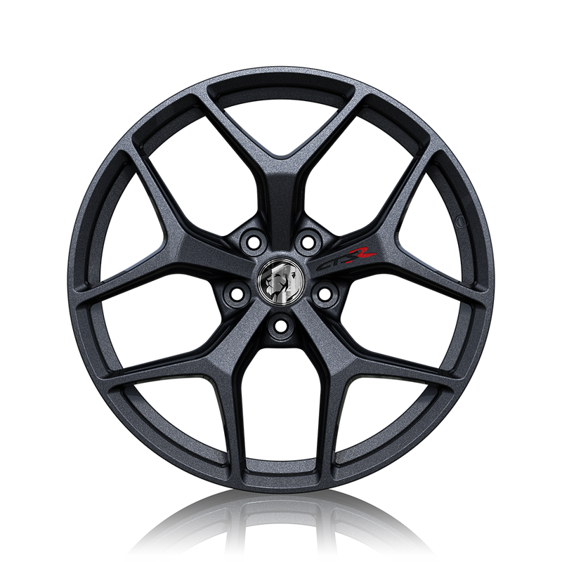 Load image into Gallery viewer, GTSR-M SF 20" - RS Black
