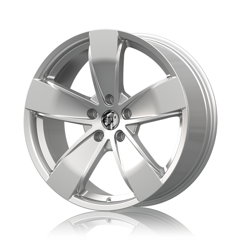 Load image into Gallery viewer, SS-Y 20" - Gloss Silver
