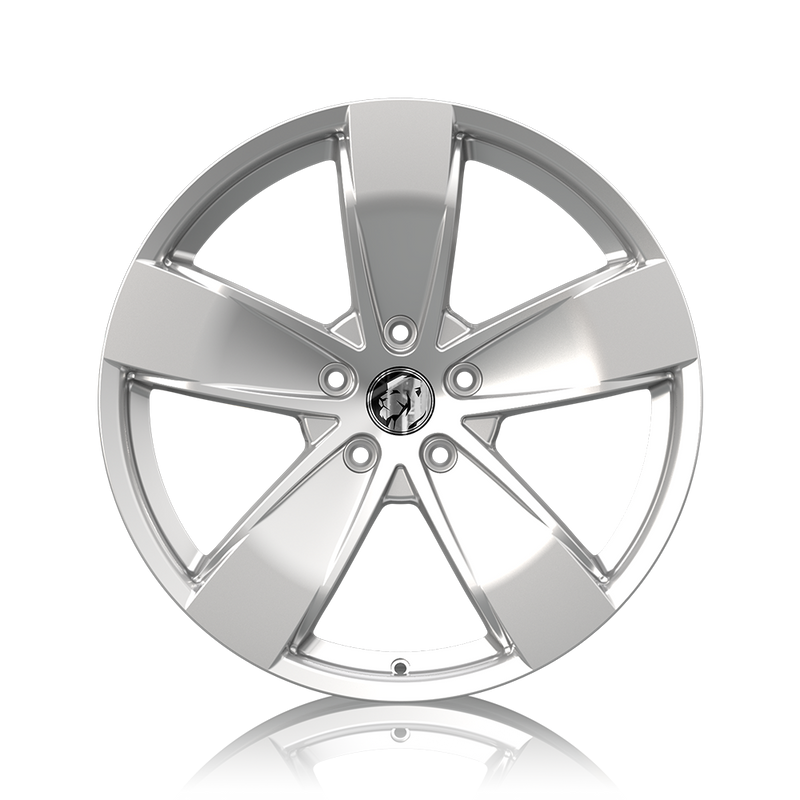 Load image into Gallery viewer, SS-Y 20" - Gloss Silver
