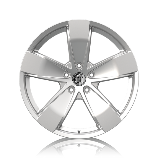 SS-Y 20" - Gloss Silver