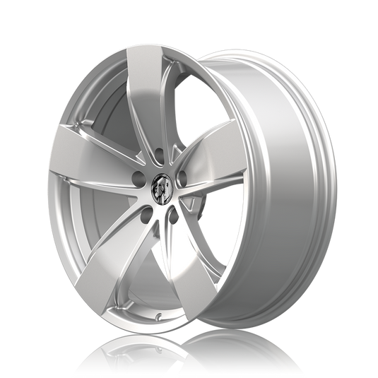 SS-Y 20" - Gloss Silver