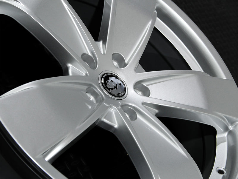 Load image into Gallery viewer, SS-Y 20" - Gloss Silver
